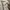 McGregor Vintage Streetwear Parka Pria cream photo 5