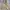 McGregor Vintage Streetwear Parka Pria cream photo 3