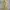 McGregor Vintage Streetwear Parka Pria Cream