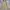 McGregor Vintage Streetwear Parka Pria cream photo 2