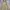 McGregor Vintage Streetwear Parka Pria Cream