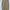 Issey Miyake Vintage Luxury High waisted jeans Wanita tan photo 4