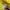 Vintage Streetwear Parka Pria yellow photo 5