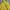 Vintage Streetwear Parka Pria yellow photo 3