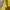 Vintage Streetwear Parka Pria yellow photo 7