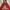Vintage Streetwear Parka Pria red photo 3