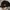 New Era Casual Hat Pria black photo 4