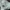 Adidas Casual Sneakers Pria black cream photo 6