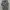 Vintage Y2K Casual shirt Pria white black photo 1