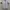 Dickies Casual Casual shirt Pria blue photo 1