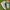 Nike Streetwear Sportswear Sneakers Pria gray photo 1