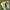 Nike Streetwear Sportswear Sneakers Pria Gray