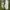 Nike Streetwear Sportswear Sneakers Pria gray photo 5