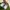 Nike Streetwear Sportswear Sneakers Pria gray photo 4