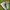 Nike Streetwear Sportswear Sneakers Pria gray photo 3