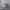 Asics Casual Sneakers Pria silver white photo 1
