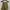 Uniqlo Casual Casual trouser Wanita khaki photo 1
