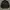 Adidas Sportswear Casual Track jacket Pria black photo 2