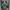 Vintage Luxury Polo shirt Pria green blue photo 3