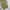 Uniqlo Vintage Y2K Formal pants Pria green photo 5