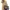 Michael Kors Vintage Avant Garde Handbag Wanita black photo 8