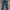 Dickies Vintage Casual Casual Pants Pria Navy
