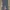Dickies Y2K Casual Casual pants Pria gray photo 1