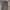 Dickies Y2K Casual Casual pants Pria gray photo 2