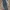 Dickies Vintage Casual Casual pants Pria gray photo 1