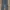 Dickies Vintage Casual Casual pants Pria gray photo 2
