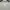 Body&Soul Minimalist Casual Evening dress Wanita white photo 1