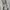Burberry Luxury Blazer Wanita cream photo 7