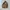 Vintage Gorpcore Parka Pria Tan