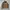 Vintage Gorpcore Parka Pria Tan