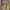 Kenzo Luxury Parka Wanita khaki photo 7