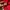 Puma Luxury Sportswear Windbreaker Pria red black photo 3