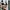 VANS Streetwear Casual Sneakers Pria white black photo 2