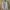 Polo Ralph Lauren Vintage Casual Formal shirt Pria white photo 1