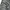 Calvin Klein Streetwear Casual Jeans Pria gray photo 6