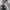 Calvin Klein Streetwear Casual Jeans Pria gray photo 2