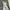 Uniqlo Gorpcore Minimalist Windbreaker Pria white blue photo 2