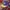 47 Brand Casual Hat Pria blue yellow photo 2