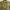 Japanese brand Indie Casual Casual shirt Pria green photo 2