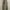 Levi's Vintage Biker Pria tan gray photo 3