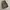 Levi's Vintage Biker Pria tan gray photo 1