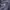 Tommy Hilfiger Casual Pria navy cream photo 5