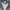 Sportswear Puffer jacket Pria navy photo 5