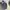 Sportswear Puffer jacket Pria navy photo 6