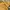 Nike Streetwear Casual T-shirt Pria yellow photo 3