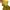 Biker Minimalist Hoody Pria yellow photo 3